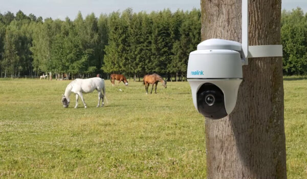 Reolink Go PT 4G LTE Mobile Pan & Tilt Wire-Free Outdoor Security Camera. Solar-Powered or Rechargeable Battery Operated